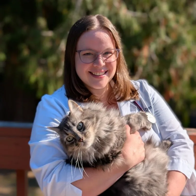 DR. STEPHANIE CROWSON DR. STEPHANIE CROWSON