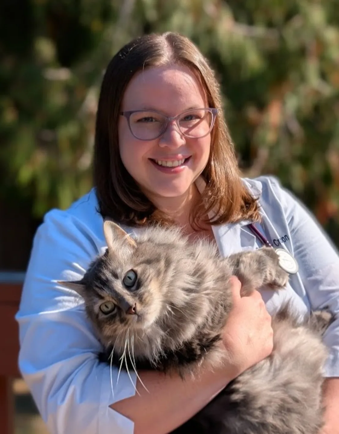 DR. STEPHANIE CROWSON DR. STEPHANIE CROWSON