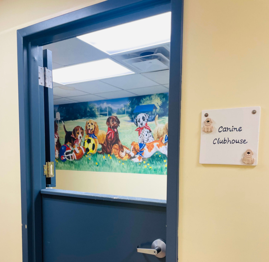 Canine Clubhouse