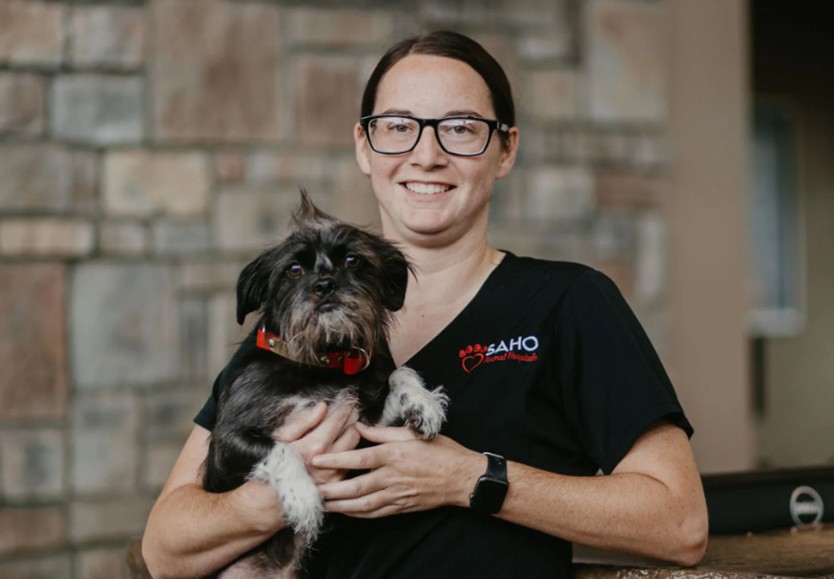 Staff holding a dog Staff holding a dog
