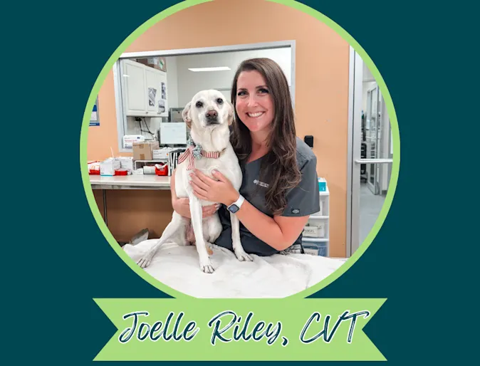 Joelle Riley the Hospital Services Manager Joelle Riley the Hospital Services Manager