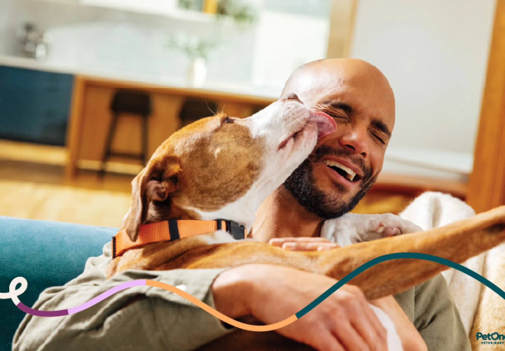 A dog sitting and licking its owner's face in excitement A dog sitting and licking its owner's face in excitement