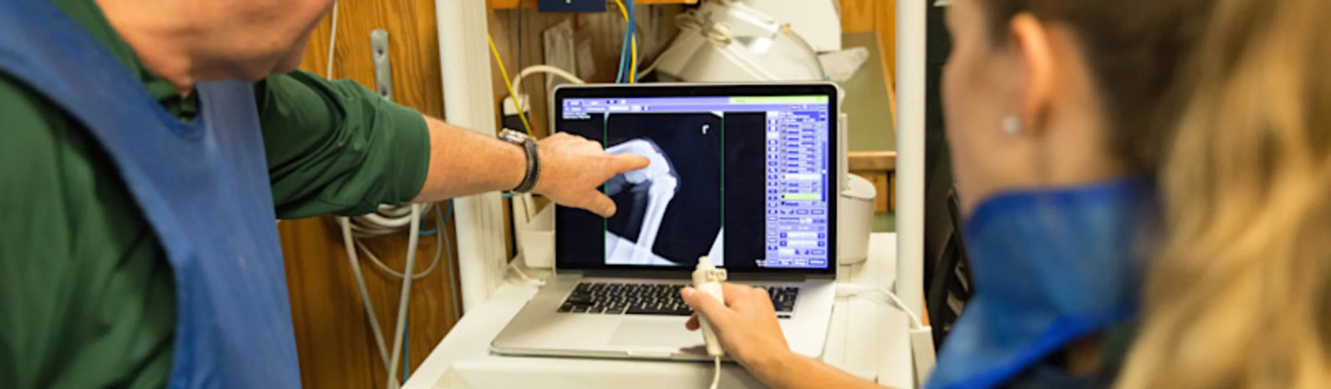 Veterinary team photo Veterinary team photo