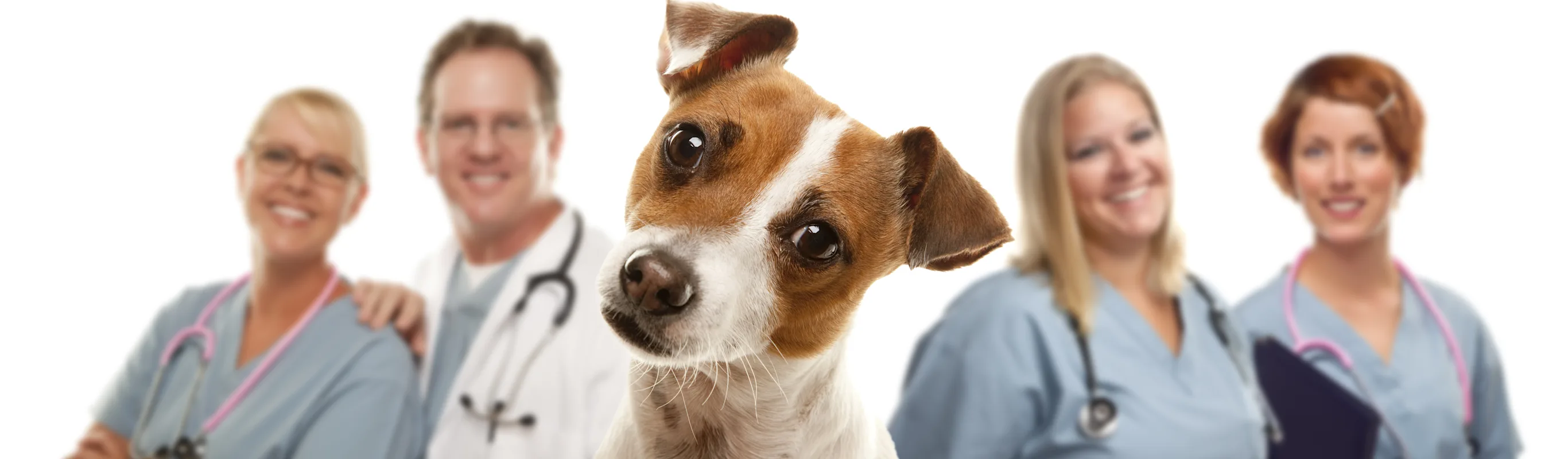 Dog with Staff