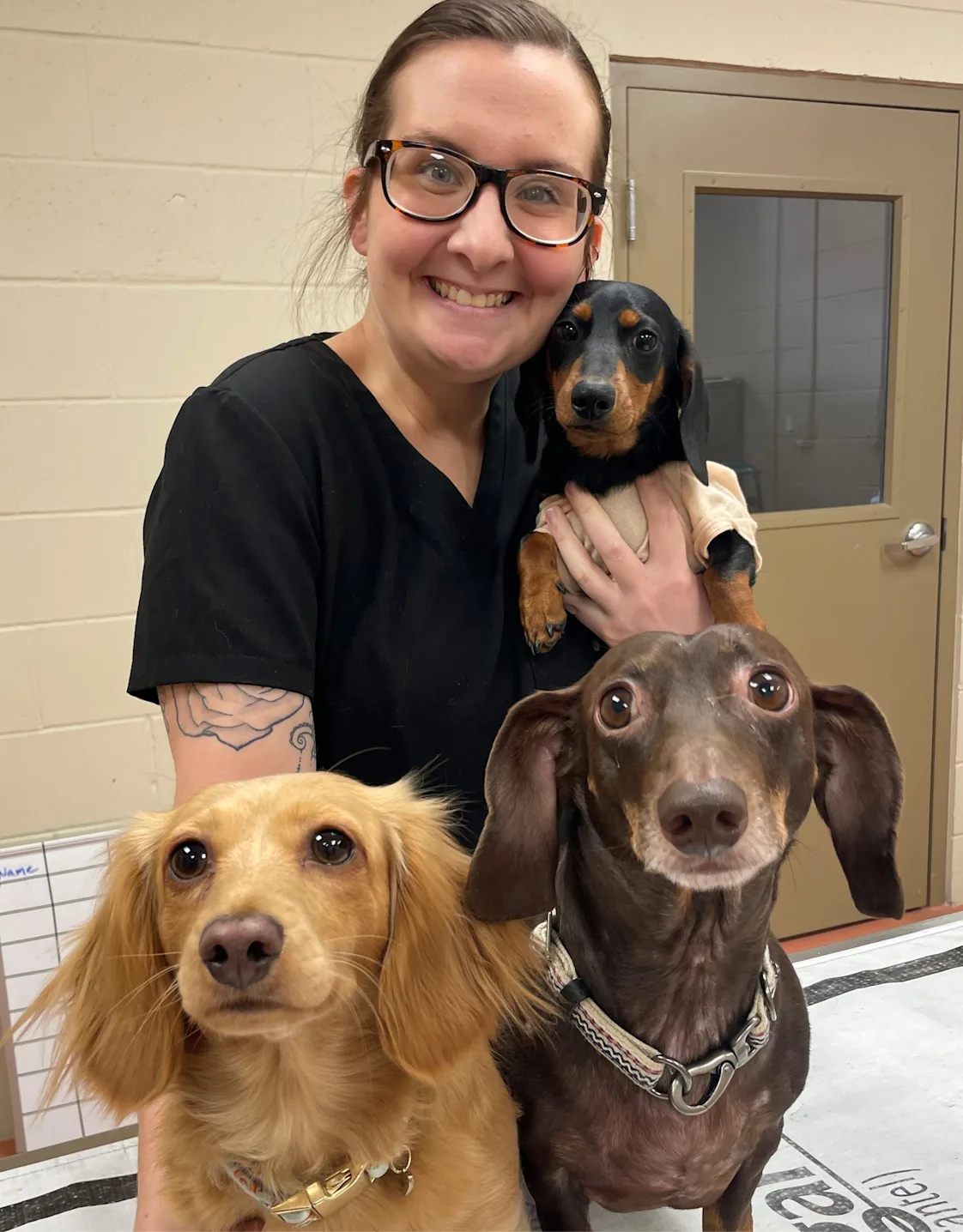 Rebecca Goldman Rebecca Goldman