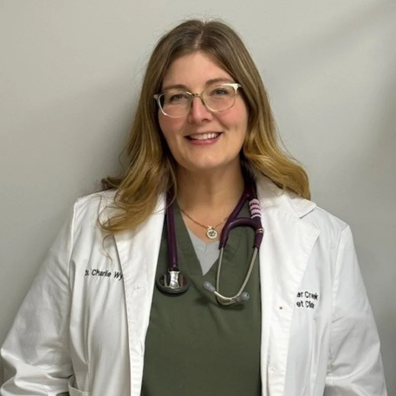 Dr. Charlie Wyatt-Swain Dr. Charlie Wyatt-Swain