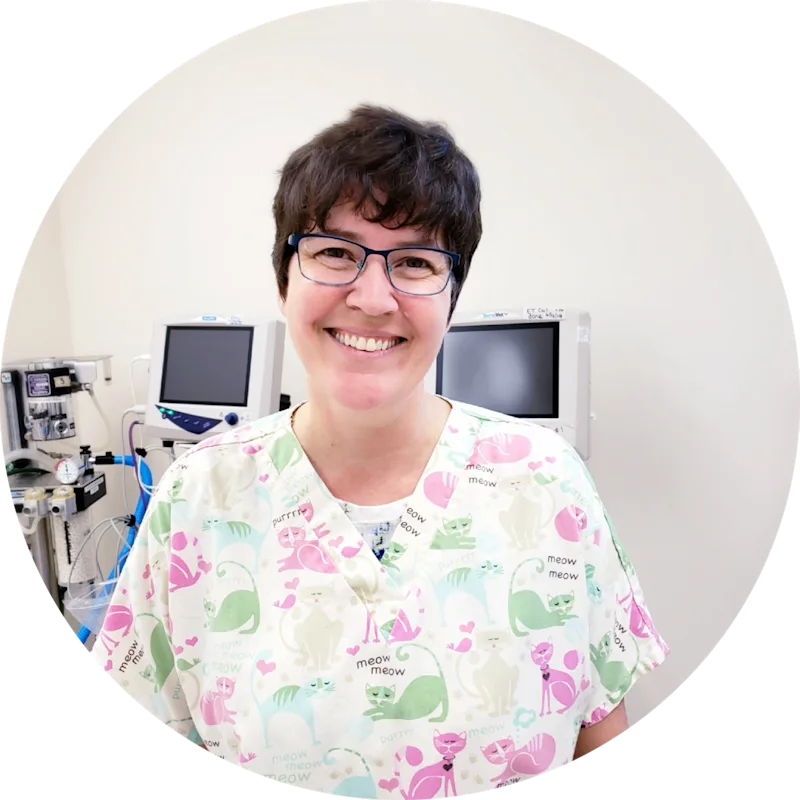 Dr. Nancy Vogel at Small Animal Hospital Dr. Nancy Vogel at Small Animal Hospital