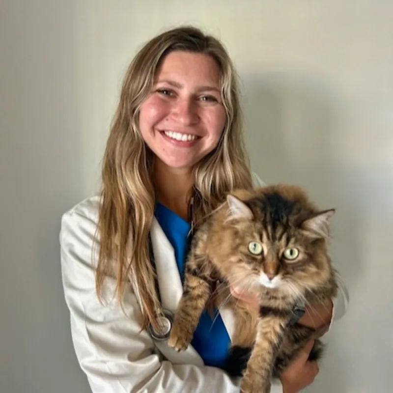 Dr. Emily Paul Dr. Emily Paul