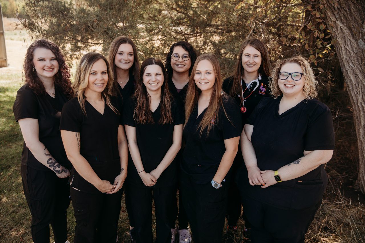 Our Technicians at Countryside Pet Clinic & Resort