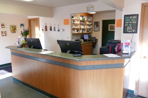 Reception at Companion Pet Clinic