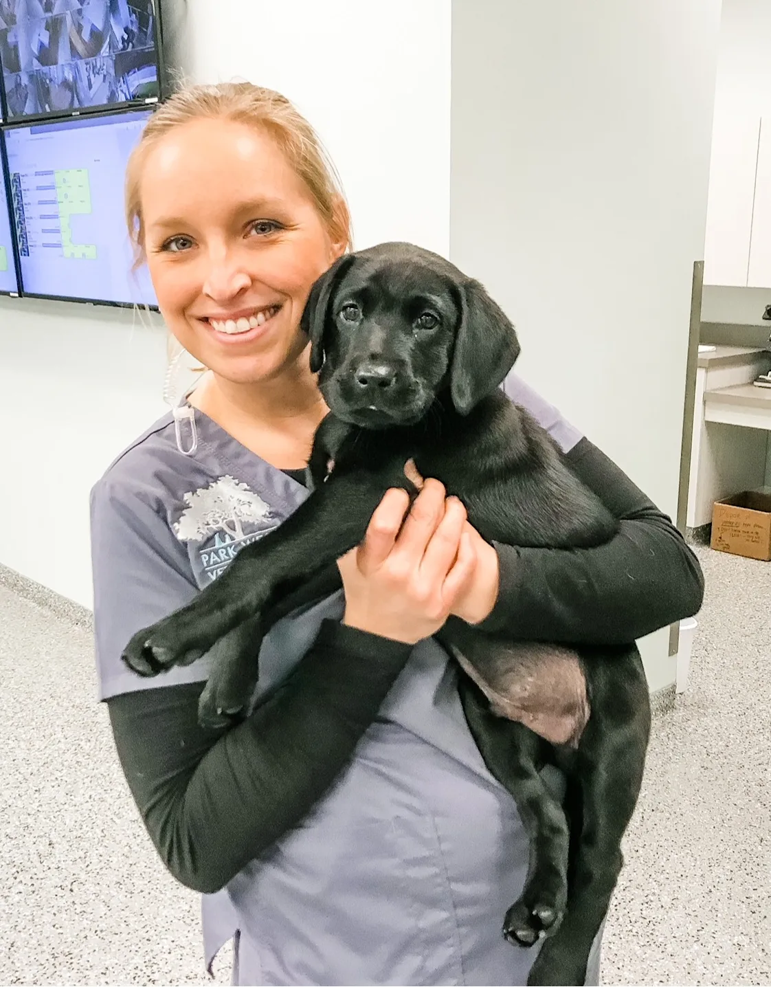 Ann Branham smiling holding a Black Lab puppy Ann Branham smiling holding a Black Lab puppy