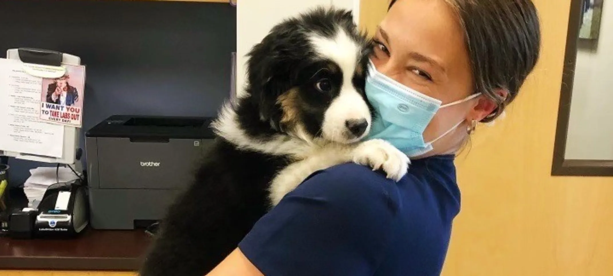 Staff hugging a dog Staff hugging a dog