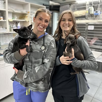 Our Staff at AMC Hattiesburg Holding 2 Black Puppies