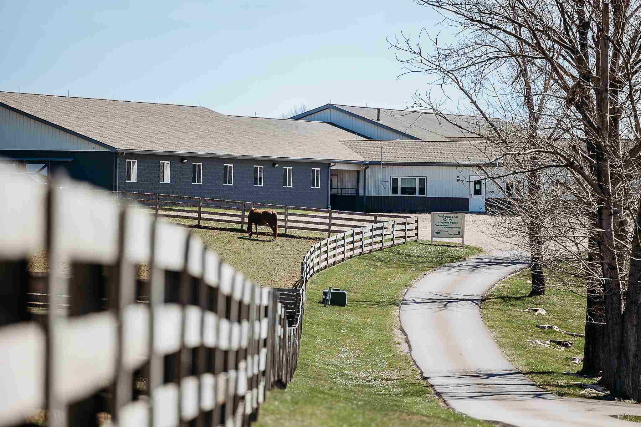 An open horse pasture at Allegheny Equine Associates.