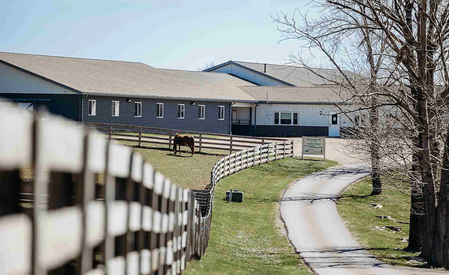 An open horse pasture at Allegheny Equine Associates. An open horse pasture at Allegheny Equine Associates.