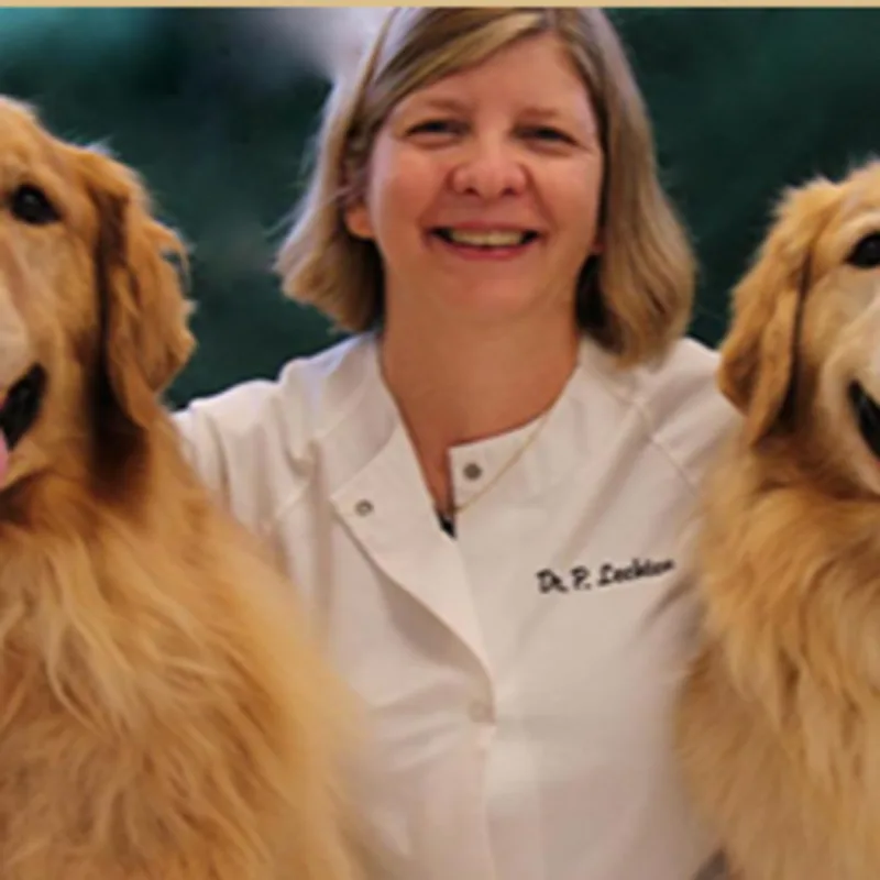 Photo of dr. patricia lechten posing with two dogs by her side. Photo of dr. patricia lechten posing with two dogs by her side.
