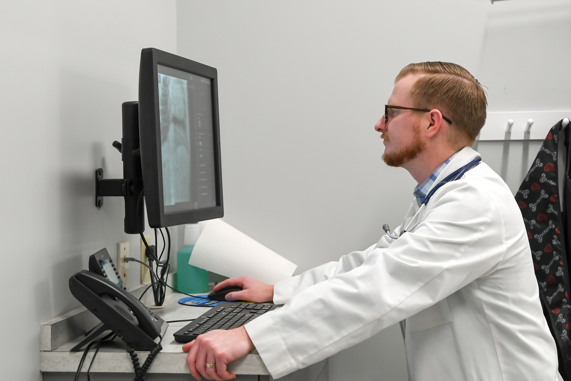 Veterinarian looking at x-ray