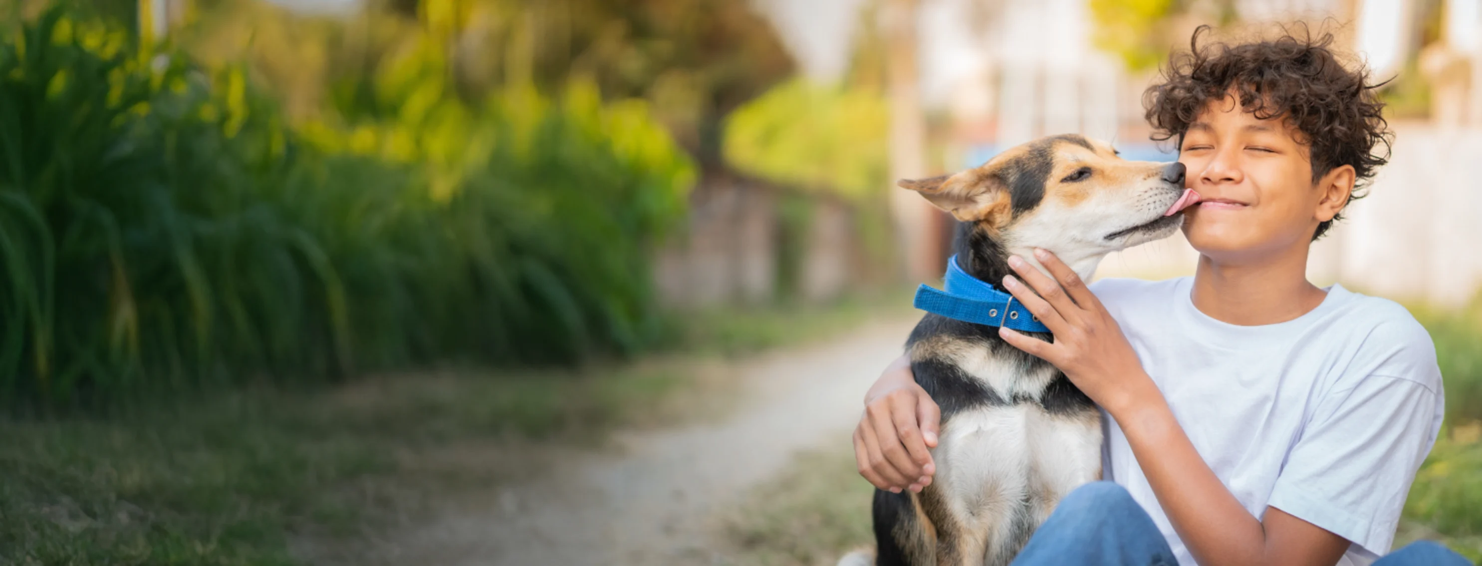Dog Giving Boy Kisses Dog Giving Boy Kisses