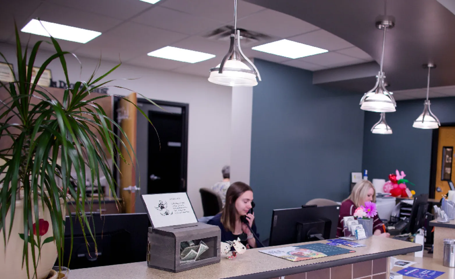 A photo of the front desk at Kindness Animal Hospital A photo of the front desk at Kindness Animal Hospital