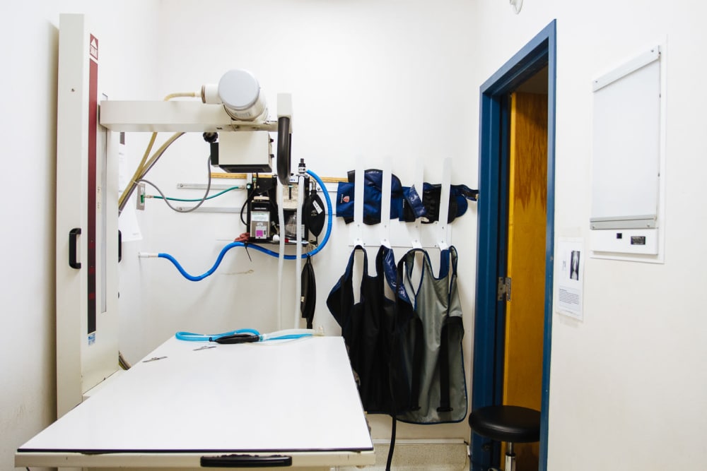 St. Francis 24 Hour Animal Hospital Interior