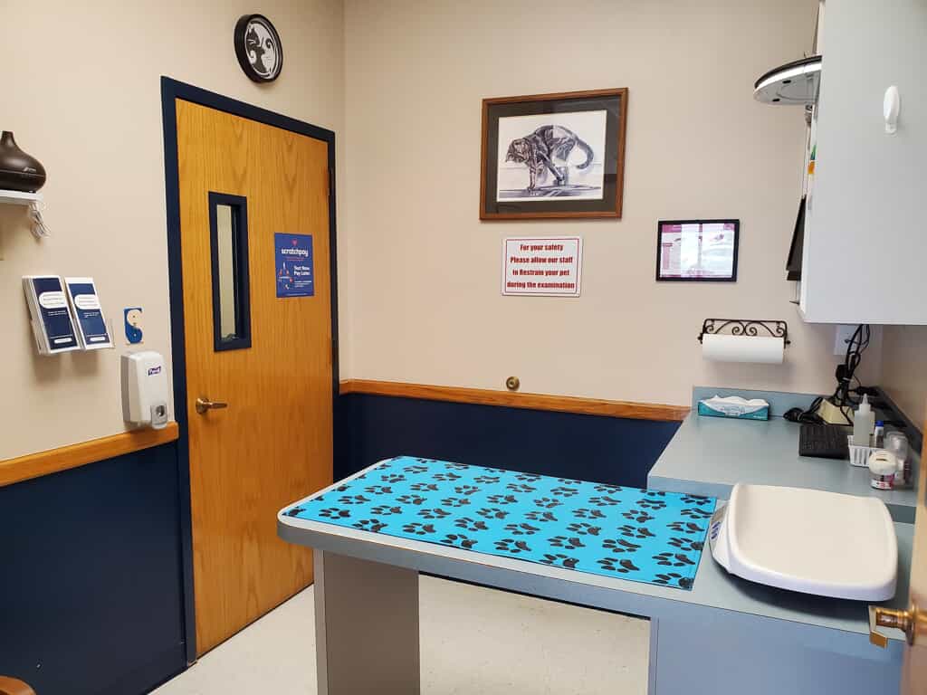 Room for patients to be seen in