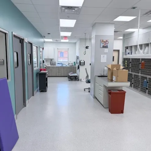 Treatment Area Treatment Area