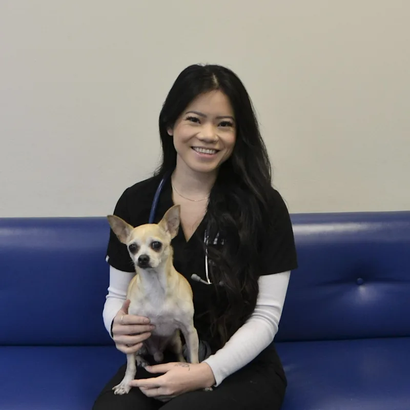 Dr. Cassidy Wong Dr. Cassidy Wong
