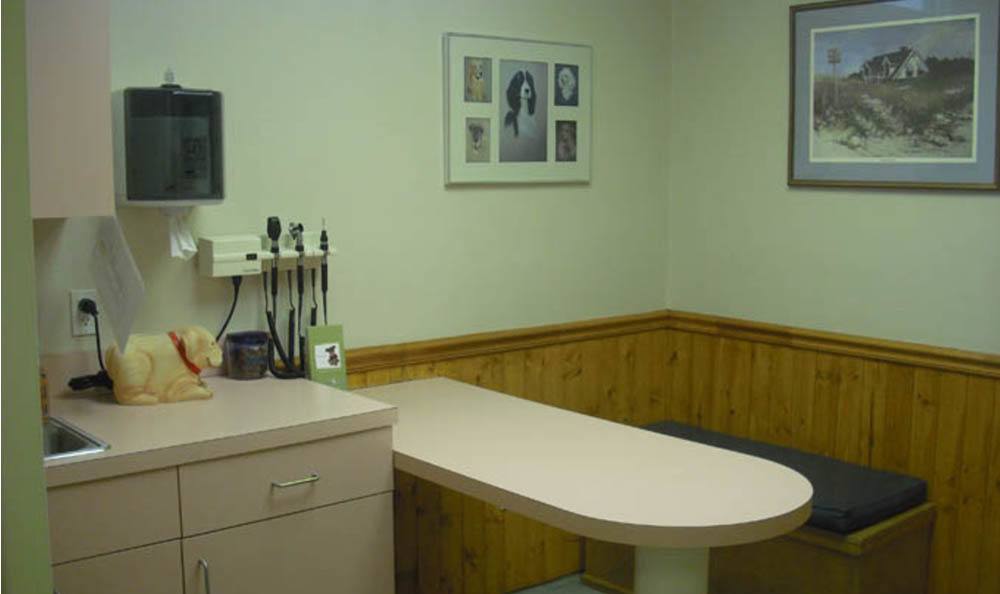 Pawleys Veterinary Hospital Exam Room
