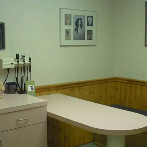 Pawleys Veterinary Hospital Exam Room Pawleys Veterinary Hospital Exam Room