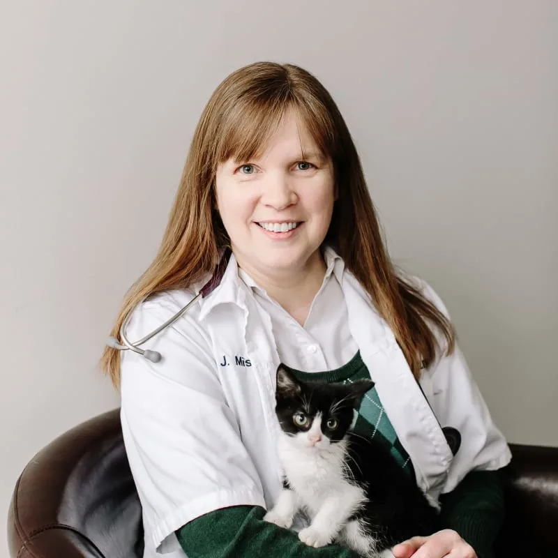 Dr. Julie Miska Dr. Julie Miska