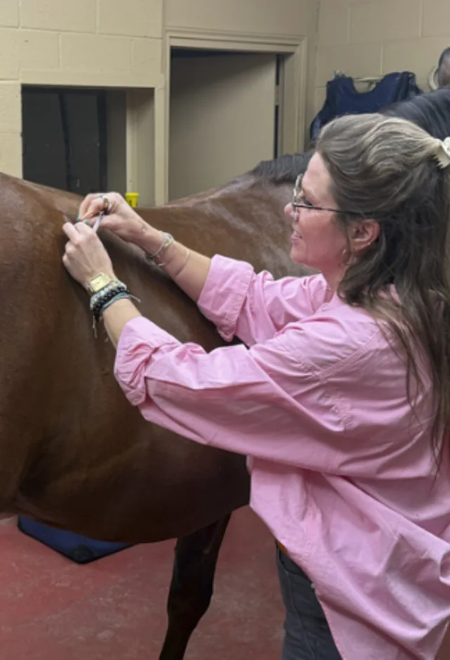Acupuncture/Chiropractor Acupuncture/Chiropractor