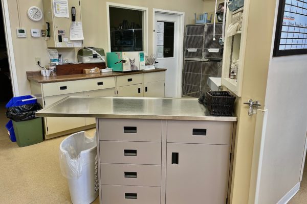 Exam Table inside Bracebridge Animal Hospital
