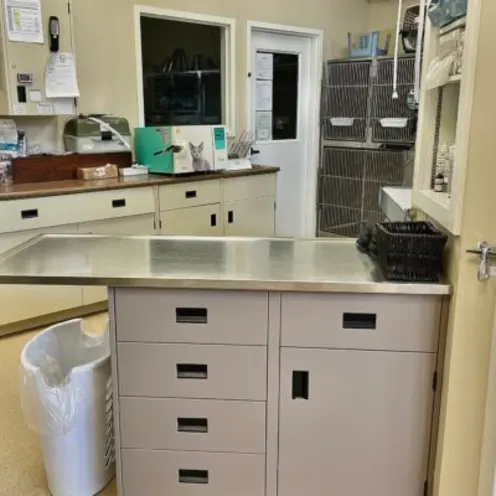 Exam Table inside Bracebridge Animal Hospital Exam Table inside Bracebridge Animal Hospital