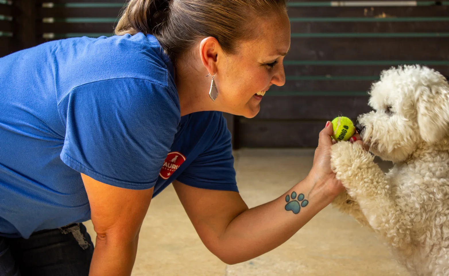 Staff member playing with white dog