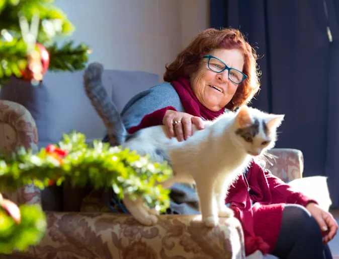 woman with her pet on the couch woman with her pet on the couch