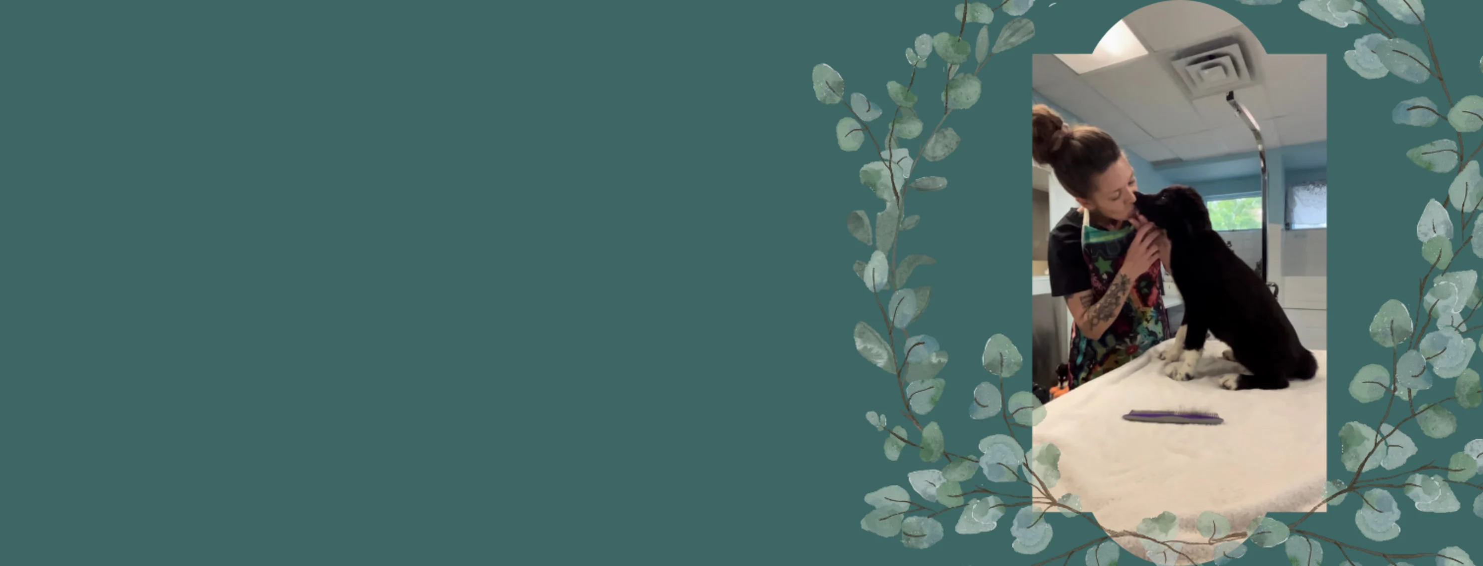 Pet Grooming at Beattie Pet Hospital - Brantford Pet Grooming at Beattie Pet Hospital - Brantford