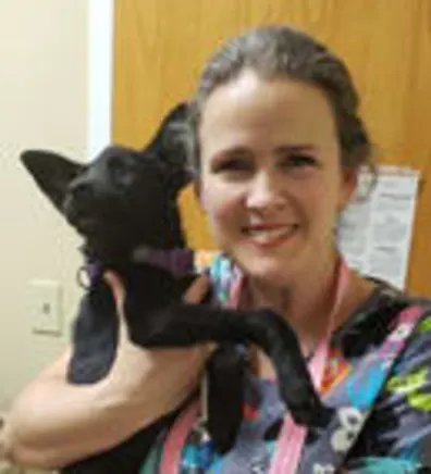 Shawnee from Veterinary Group of Chesterfield Shawnee from Veterinary Group of Chesterfield