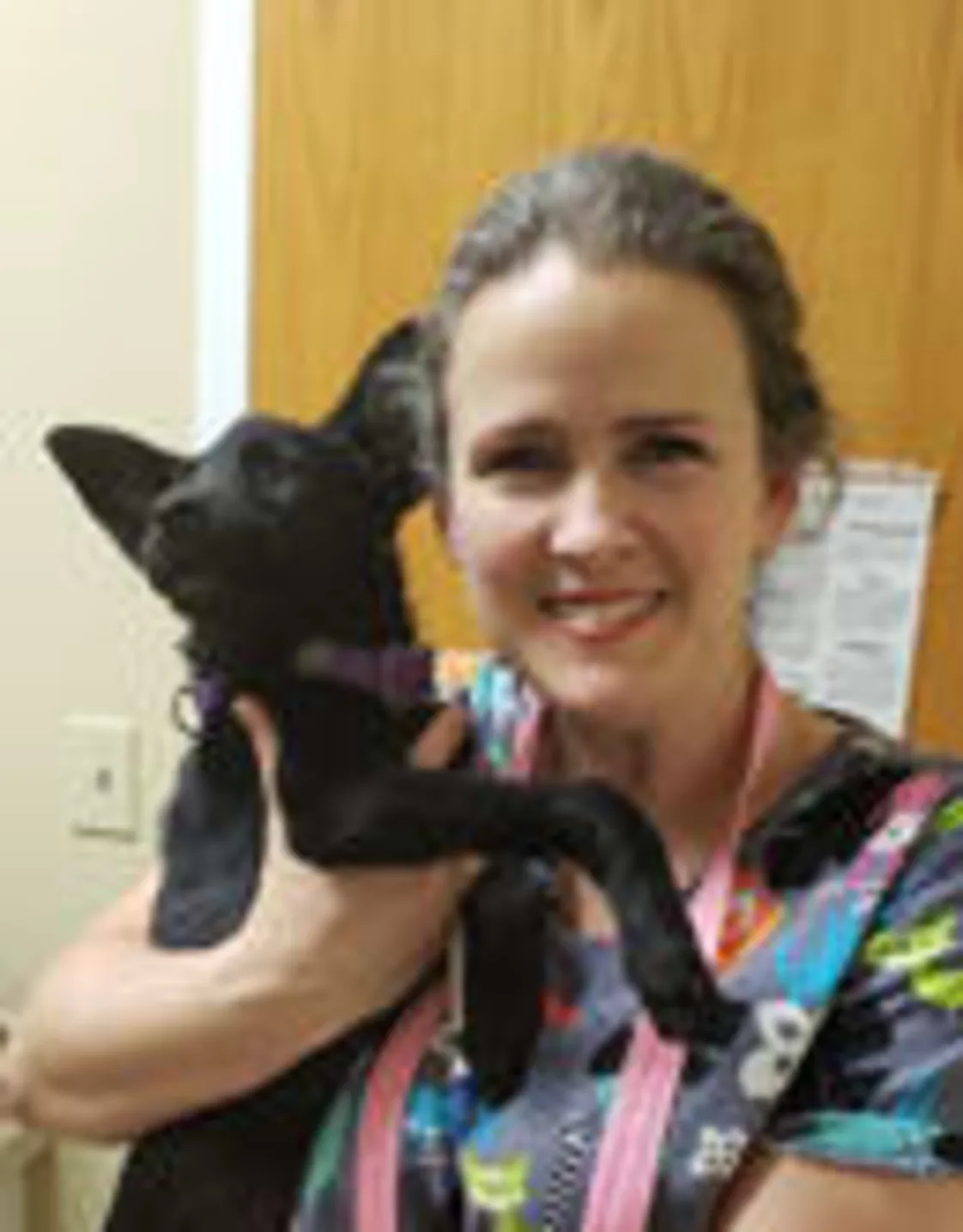 Shawnee from Veterinary Group of Chesterfield Shawnee from Veterinary Group of Chesterfield