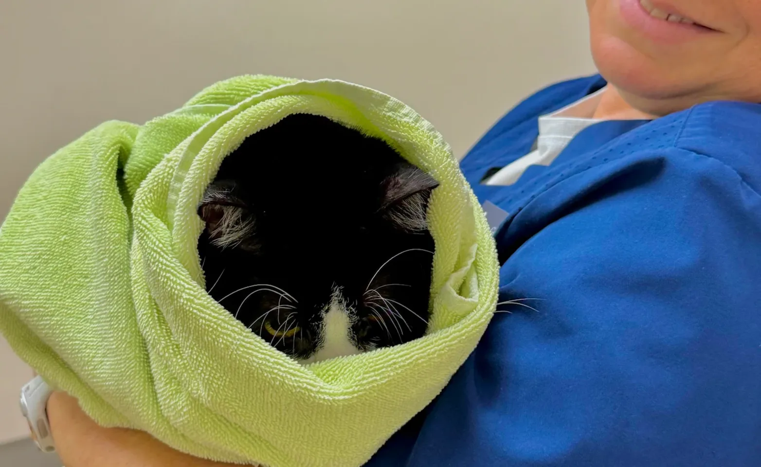 Less stress 1 Less stress 1