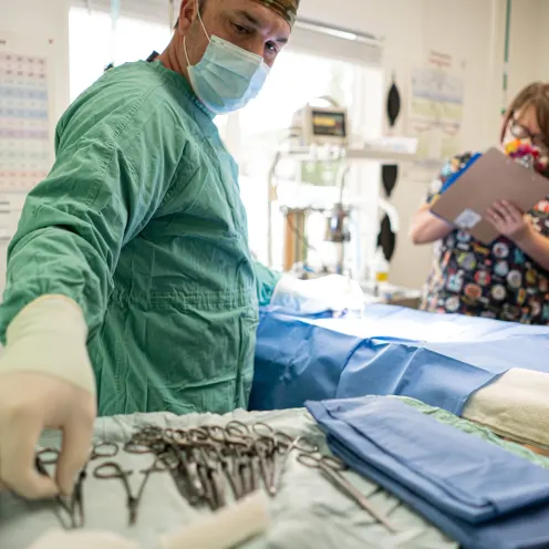 Hendricks Veterinary Hospital doctor grabbing a medical tool while another staff member takes notes.