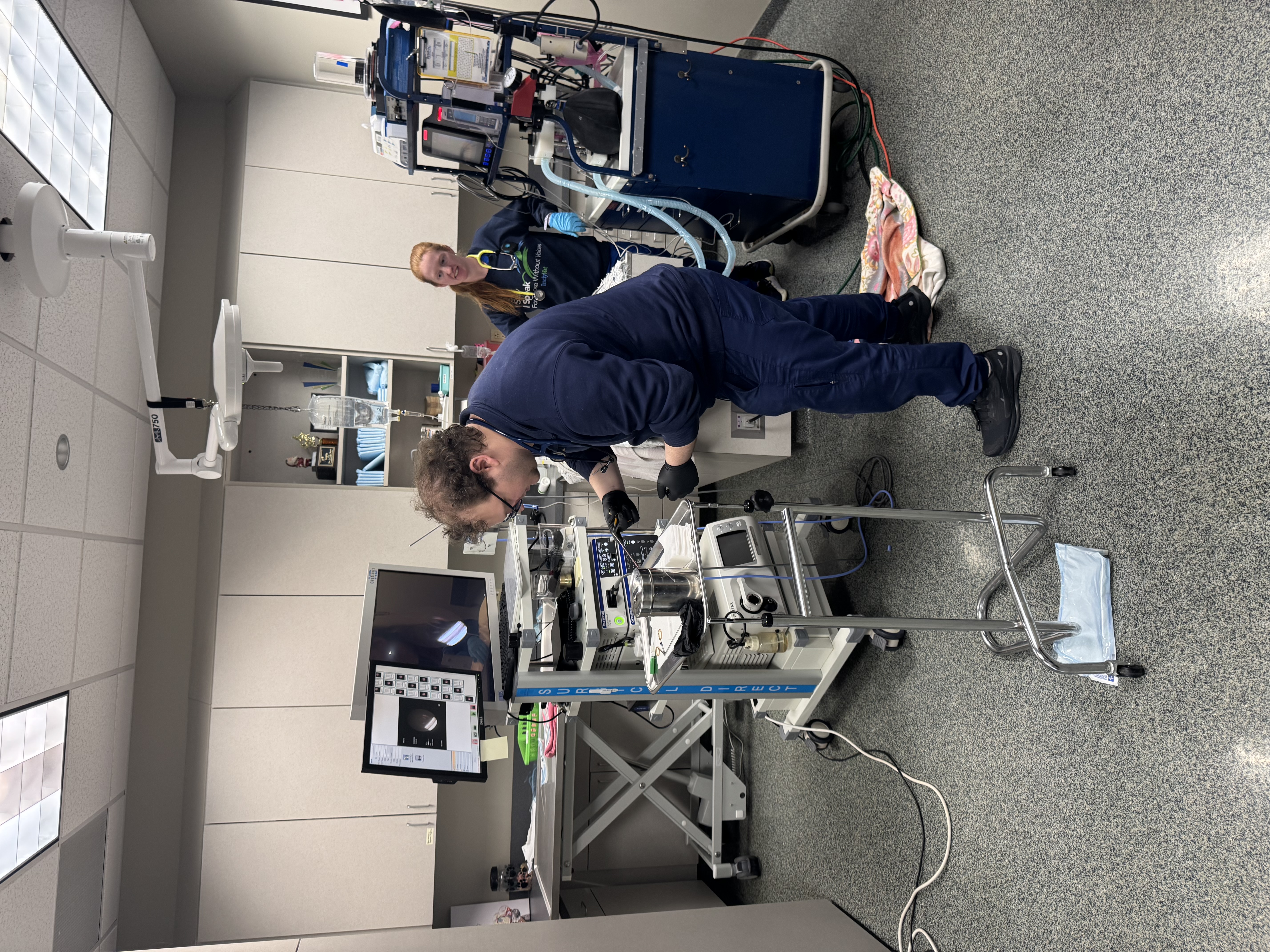 Two veterinary technicians examining pet