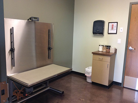 Foxtail Pines Veterinary Hospital Exam Room