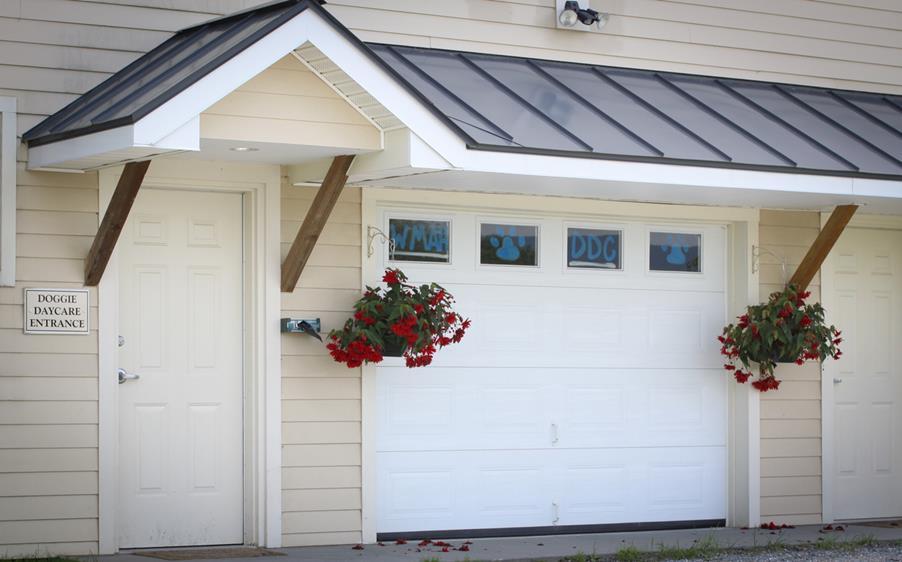 Doggie Day Care Entrance