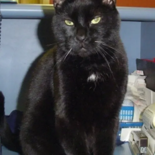 Spookie sitting Spookie sitting