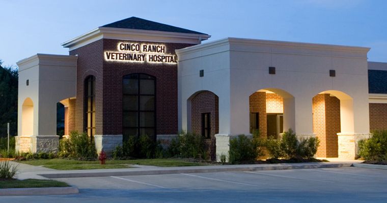 Animal Hospital in Katy, TX | Cinco Ranch Veterinary Hospital