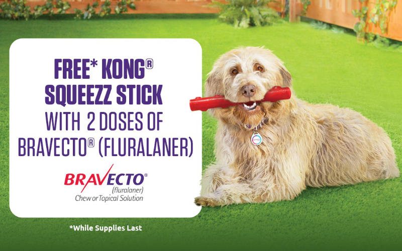 Bravecto for dogs rebate best sale