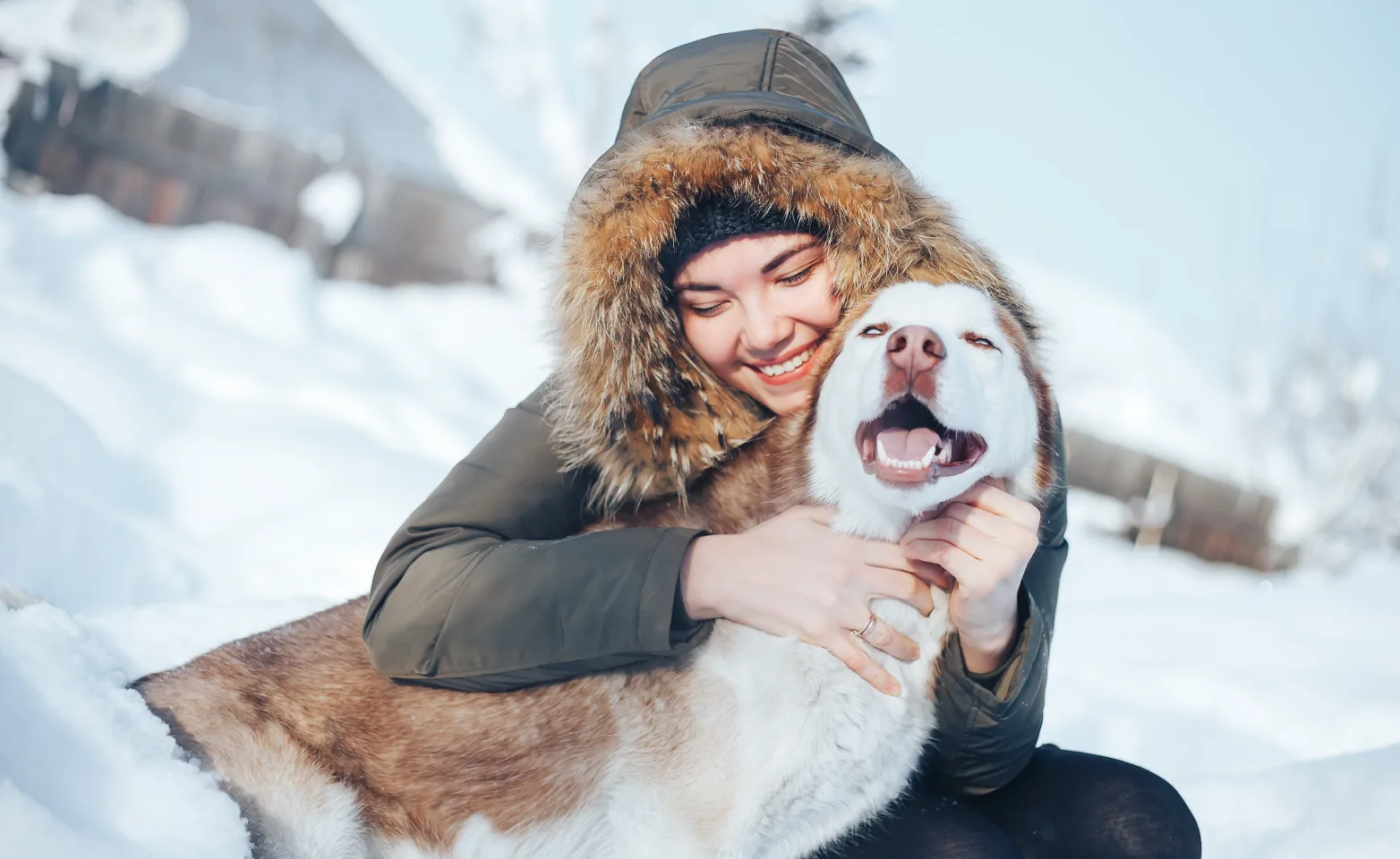 Dog and woman in the snow