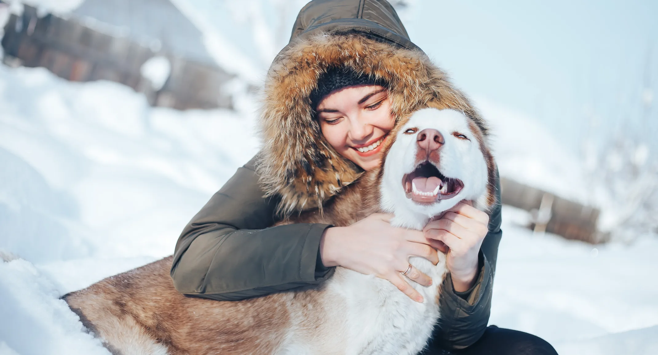 Dog and woman in the snow