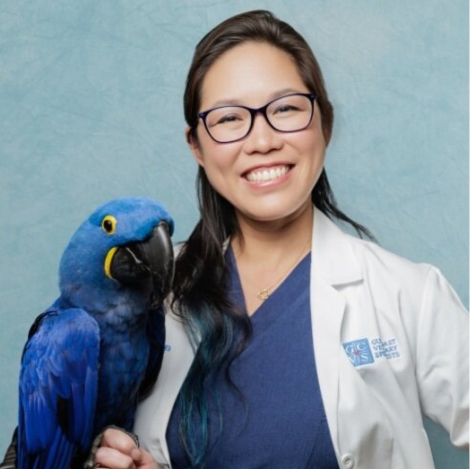 Headshot of Sue Chen