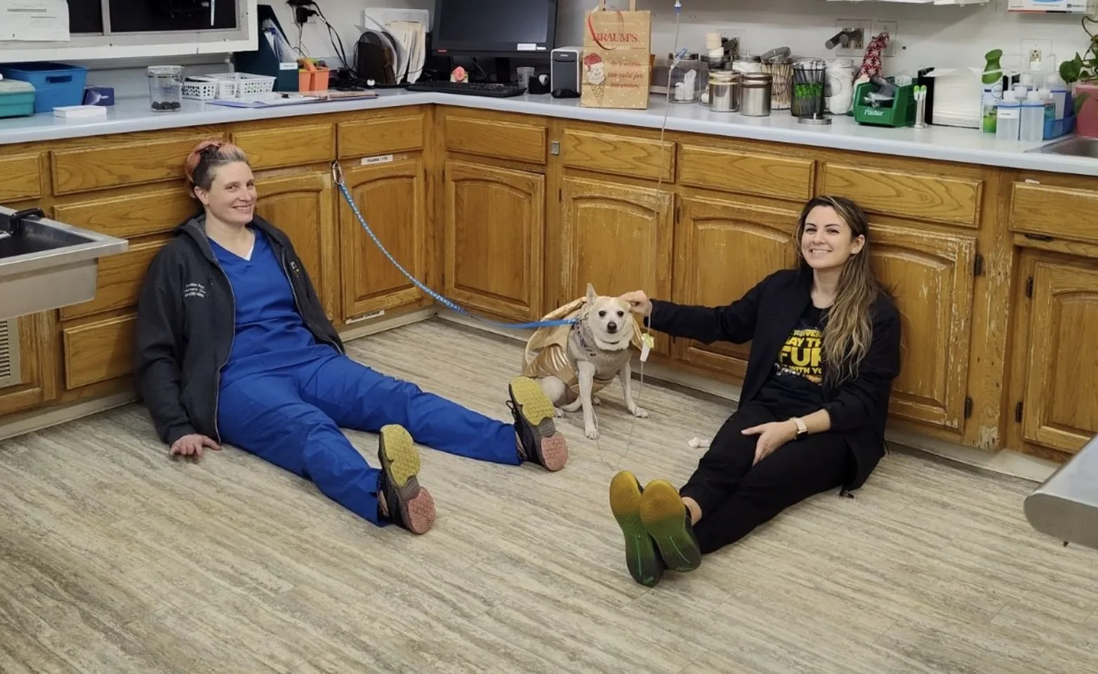 staff members sitting on floor with dog staff members sitting on floor with dog